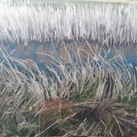 Suffolk Reeds, Image size 20cm x 20cm, mounted 35cm x 34cm  